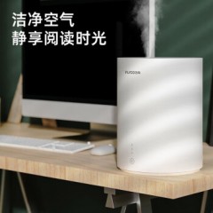 博锐飞科加湿器卧室轻音婴儿办公室桌面大容量家用迷你大雾量空气净化 4L象牙白 加湿10-12小时 FH9207