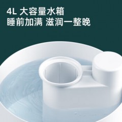 博锐飞科加湿器卧室轻音婴儿办公室桌面大容量家用迷你大雾量空气净化 4L象牙白 加湿10-12小时 FH9207