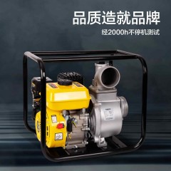 deli得力DL-QGZ80-W1汽油机水泵3"_5.1KW