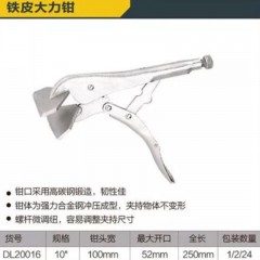 deli得力DL20016铁皮大力钳10寸(银)(把)