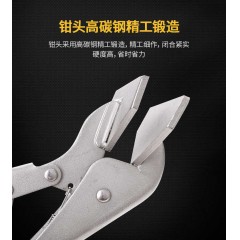 deli得力DL20016铁皮大力钳10寸(银)(把)