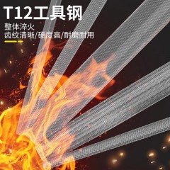 deli得力DL65106中齿扁锉6寸