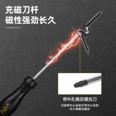 deli得力DL6210020T中孔花型螺丝批