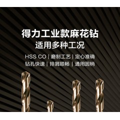 deli得力DH-MH151130G直柄麻花钻