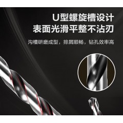 deli得力DL16032G_直柄麻花钻